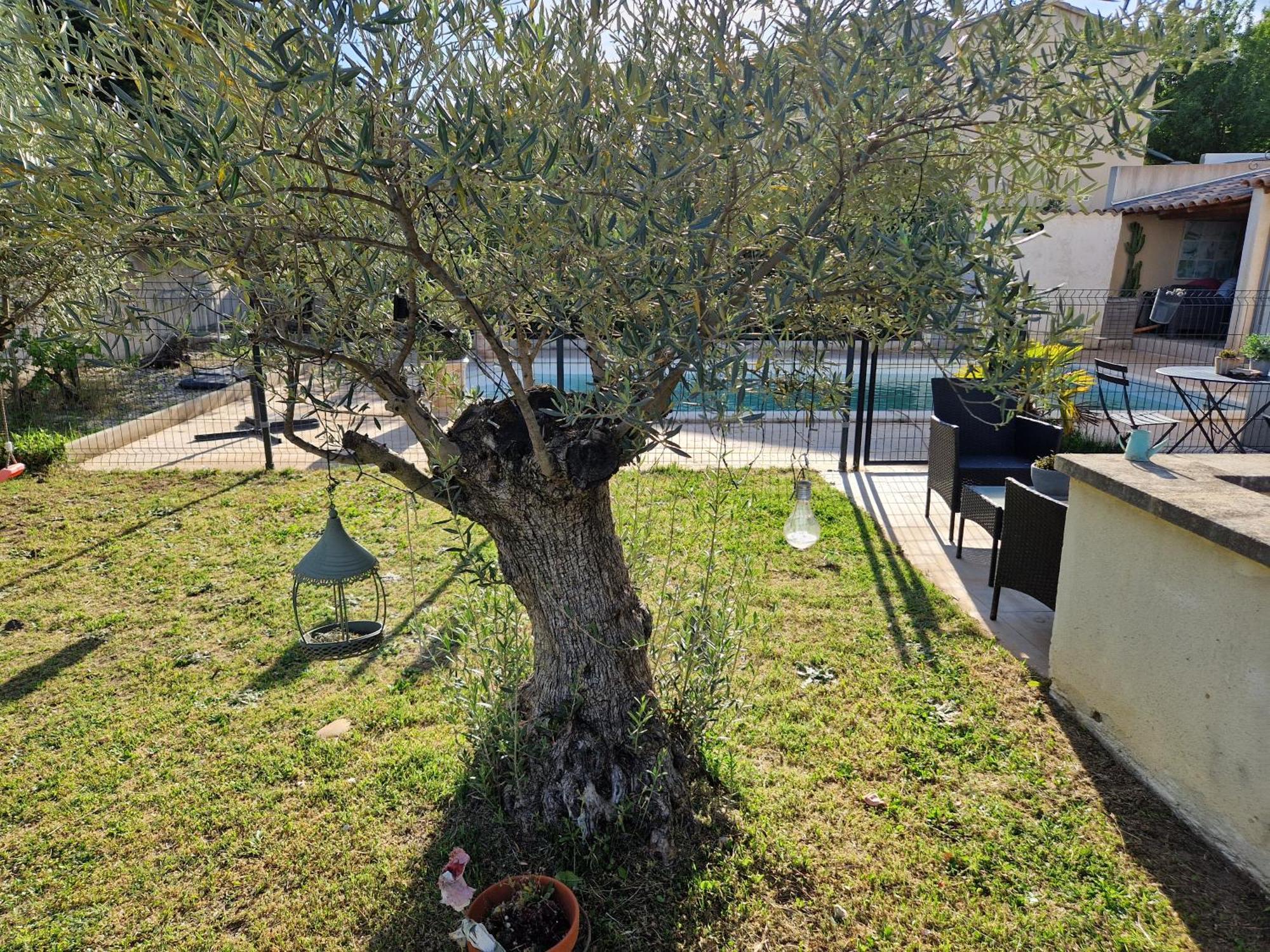 Apartamento le Cabanon de LEA Tavel Exterior foto